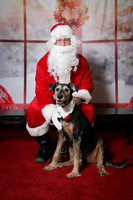 Benson's Santa photos 19