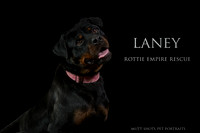 Laney