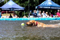 Dock Dogs @ Benson's Pet Center
